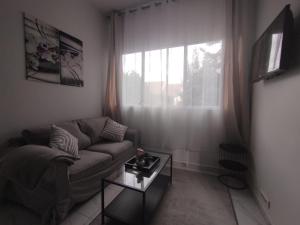 Appartements Studio : Appartement 1 Chambre