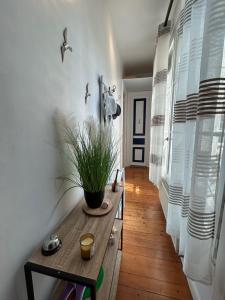 Appartements La Mouette - Superbe romantique coeur de ville : photos des chambres