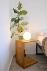 The Black Sheep BnB img19