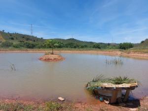 Lost Paradise - Cosy Wagon