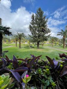 Two Bedroom Apartment near Slovenska Beach