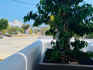 Sophias Apartments - Lipsi Thyme