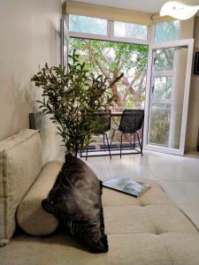 Modern studio in the CBD