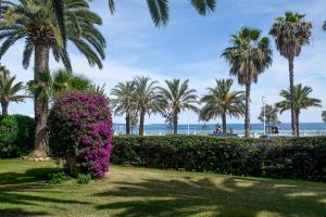 NEW! Sea View studio - Beachfront living in Cannes, Boulevard du Midi - Nouveau! Studio Vue mer, face à la plage, les pieds dans leau