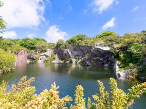 Mellydonen Beder Del Melly, Tor Down Quarry