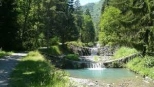Chalets Chalet La Sentinelle : photos des chambres