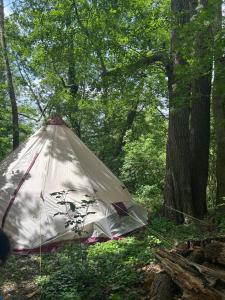 Tentes de luxe Sejour insolite sur une ile : photos des chambres
