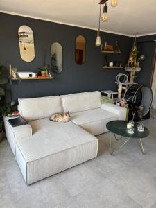Appartement rénové Toulon