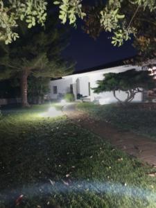 Dal tramonto all' alba img27