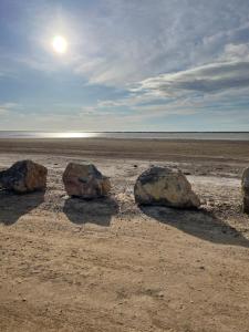 Campings Camping Novella MH12 : photos des chambres