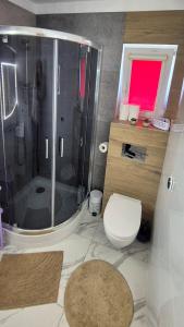 Mundi dom nad jeziorem max 6 osób prywatna plaża z pomostem