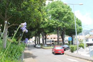 OurMadeira - SeaView Apartment, countryside