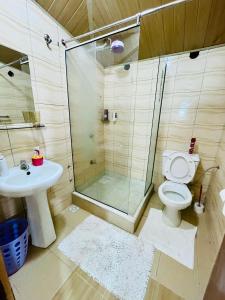 Penthouse Studio Apartment