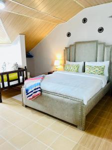 Penthouse Studio Apartment