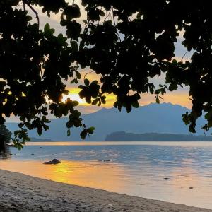 VIRYA Nest Self-Service Tiny Home in Rainforest Nest - Monkeys, Bats, Pet Friendly with a Fee