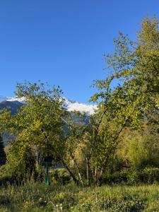 tegliohomevaltellina