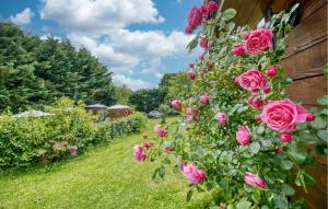 Gorgeous Home In Sarlat-La-Canéda