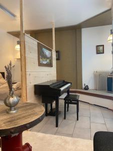 Studio Apartment Altstadt