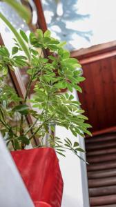 Dolanit Hotels Vila e Drurit