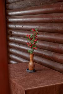 Dolanit Hotels Vila e Drurit