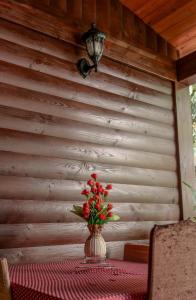Dolanit Hotels Vila e Drurit