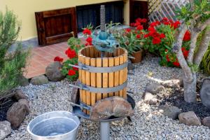 Villa Saige , piscina con idromassaggio img85