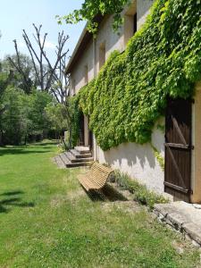 Appartements Centre Les Labadous : Chambre Lit King-Size
