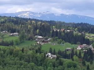 Zatyshok v Karpatah 2