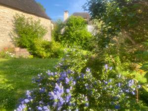 Maisons d'hotes Les ambiances du Coly : photos des chambres