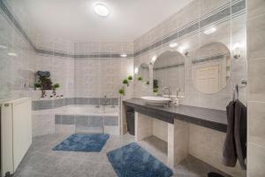 Deluxe Apartment Space and More