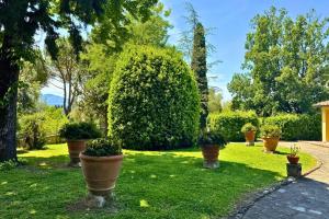 Villa Fortini by Mmega