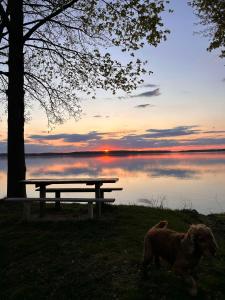 Domek nad jeziorem Gołdopiwo