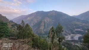 Vedsh homestay Uniyana