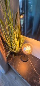 Apartament 1 pokojowy - Kawalerka z klimatyzacją, garażem podziemnym