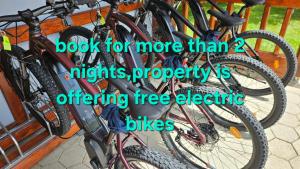 Apartments Akacijev Izvir 