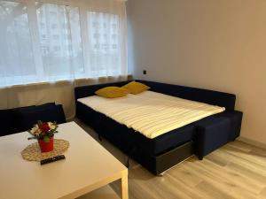 Limbažu Jaunās ielas apartamenti