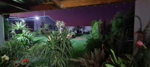 Mountain View Guesthouse