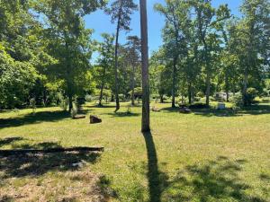 Campings Chalet Marin et son spa privatif : photos des chambres