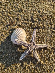 Xristos Studio Psakoudia Halkidiki