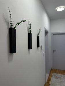 Modern flat 5 Min to Beach