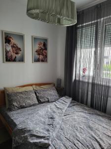 Apartman Dunja