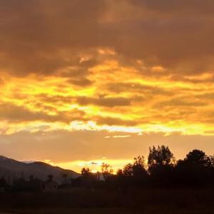 Maisons d'hotes La Martanne : photos des chambres