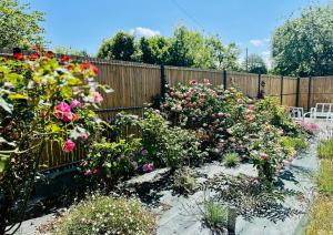 Maisons de vacances Home Vert La Suite : photos des chambres