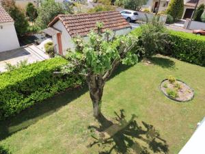 Appartements Appartement charmant a Royan - 4 pers, proche marche, balcon, ascenseur, equipements bebe - FR-1-738-13 : Appartement