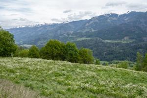 Casa Lugli by go new location