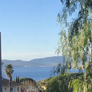 Appartements Coeur Ste Maxime Appt 46 M2 Vue : photos des chambres