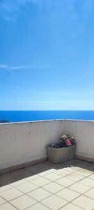 Appartements Bright Rooftop F3 Terrace Sea & Mountain View : photos des chambres