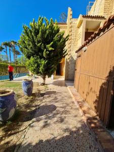 فيلا مارينا 2