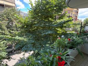 AL Apartments Tirana