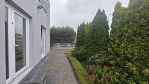 Apartament, Mieszkanie